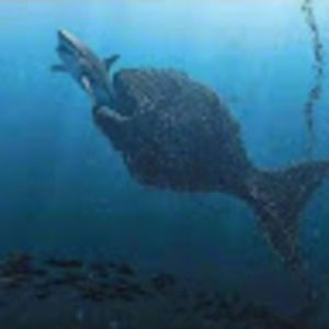 Meet your Posher, Keith